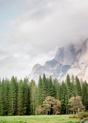 pentax-67ii-6x7-105mm-f2.4-yosemite-engagement-rowboat-kodak-portra-400_1