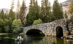 Taylor and Canyon Yosemite Engagement Photography session