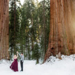 Sequoia National Forest Engagement Photography Session