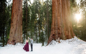 Sequoia National Forest Engagement Photography Session