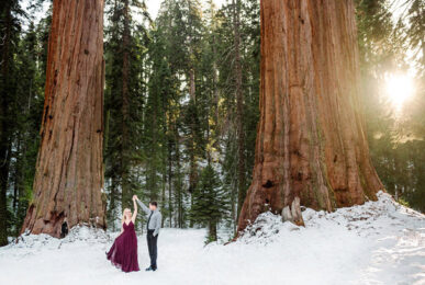 Sequoia National Forest Engagement Photography Session