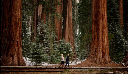 Sequoia National Forest Engagement Photography Session